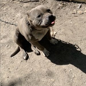 Meet your Posher, Jaden